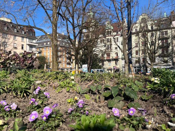 frühling in luzern.jpg