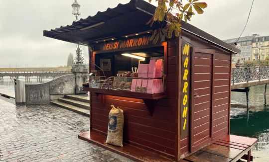 Marroni Newsletter.jpg