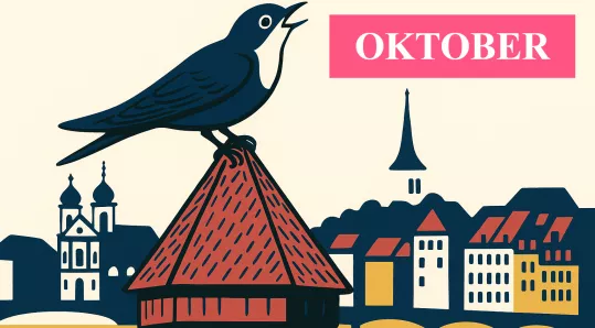 Vogel bei Wasserturm (1).png